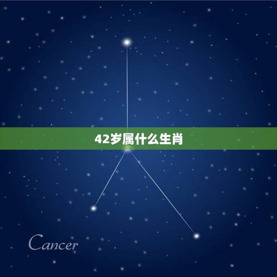 42岁属什么生肖,42号是什么生肖 42岁属什么生肖,42号是什么生肖