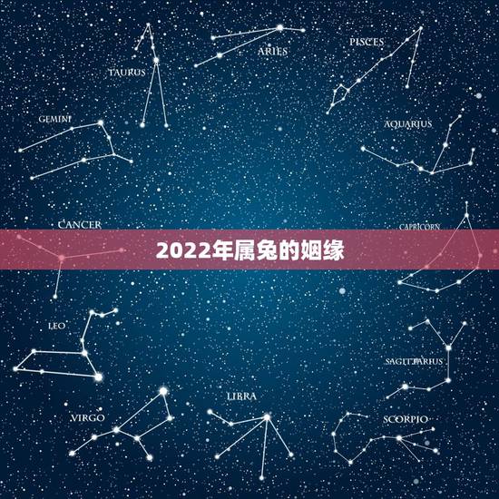 2022年属兔的姻缘,1987年生肖兔十年 2022年属兔的姻缘,1987年生肖兔十年