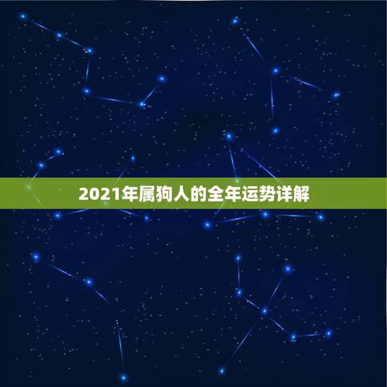 2021年属狗人的全年运势详解，属狗人2021年运势运程每月运程