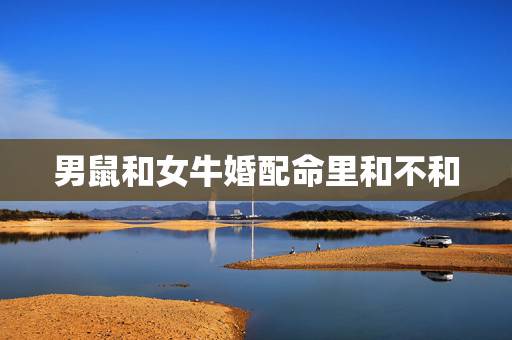 男鼠和女牛婚配命里和不和,男鼠女牛在婚姻上好配吗 男鼠和女牛婚配命里和不和,男鼠女牛在婚姻上好配吗