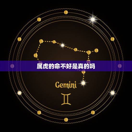 属虎的命不好是真的吗，为什么都说属虎的不好