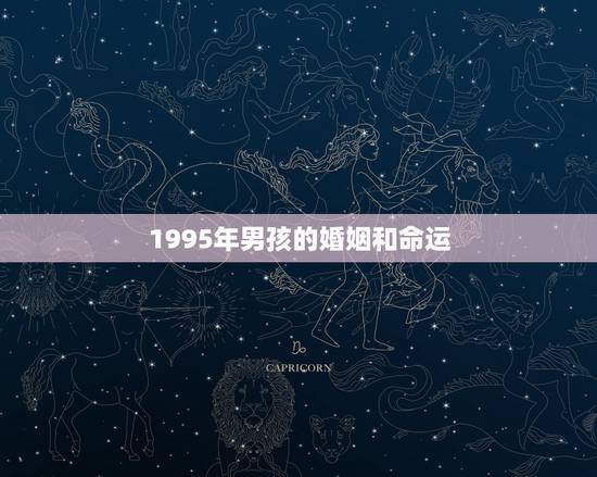 1995年男孩的婚姻和命运，农历1995年11月19日属猪人的婚姻与命