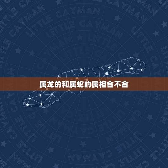 属龙的和属蛇的属相合不合,属龙的和属蛇的在一起好吗 属龙的和属蛇的属相合不合,属龙的和属蛇的在一起好吗
