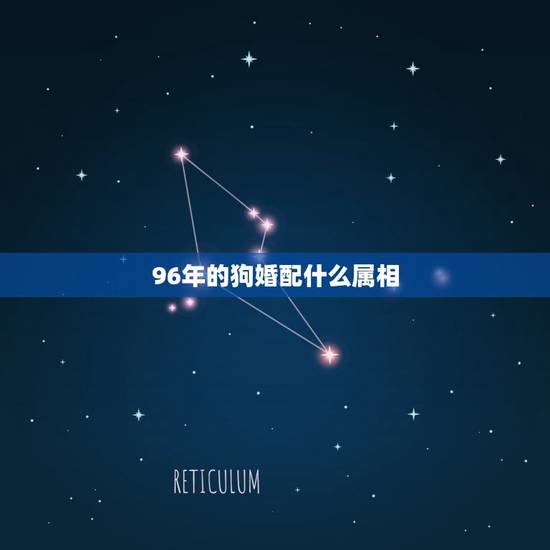 96年的狗婚配什么属相，96年鼠的和什么属相最配
