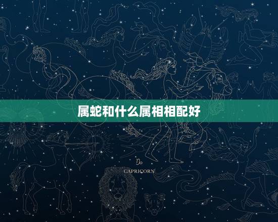 属蛇和什么属相相配好 属蛇的和什么属相合适