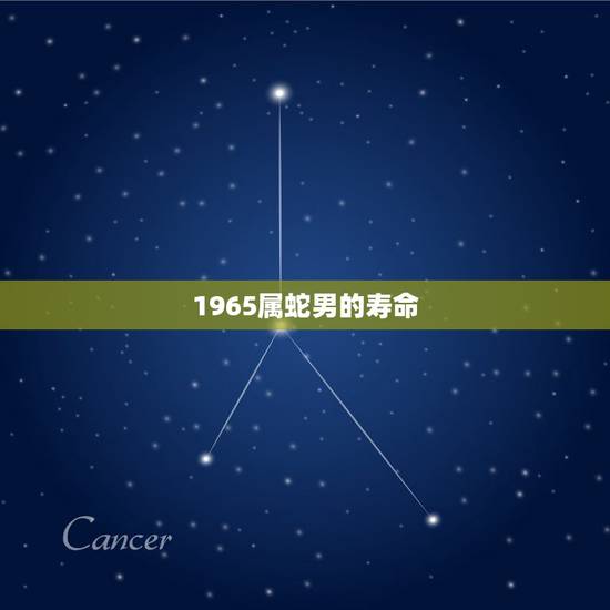 1965属蛇男的寿命,1977年属蛇的人寿命多大 1965属蛇男的寿命,1977年属蛇的人寿命多大
