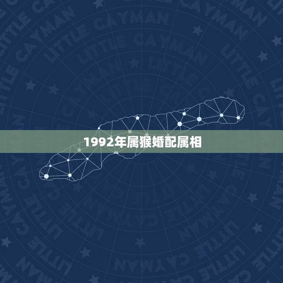 1992年属猴婚配属相,1992年属猴2022 年运势 1992年属猴婚配属相,1992年属猴2022 年运势