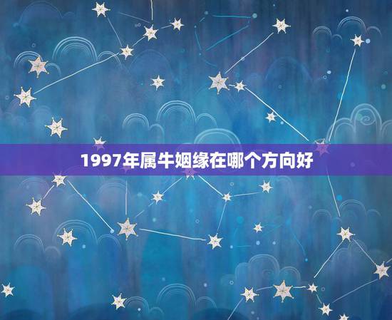 1997年属牛姻缘在哪个方向好,属牛97年2022 桃花运是哪里 1997年属牛姻缘在哪个方向好,属牛97年2022 桃花运是哪里