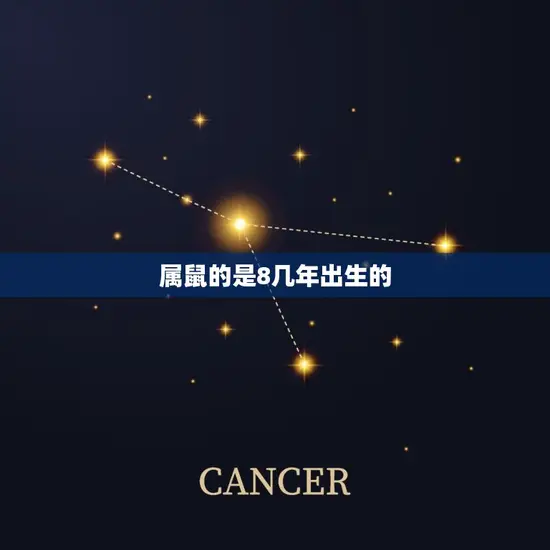 属鼠的是8几年出生的 属鼠的是8几年出生的