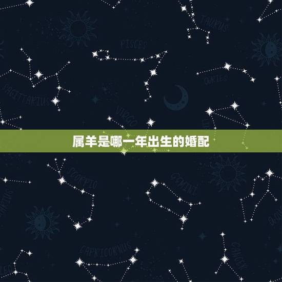 属羊是哪一年出生的婚配,91年属羊最佳婚配属相 属羊是哪一年出生的婚配,91年属羊最佳婚配属相