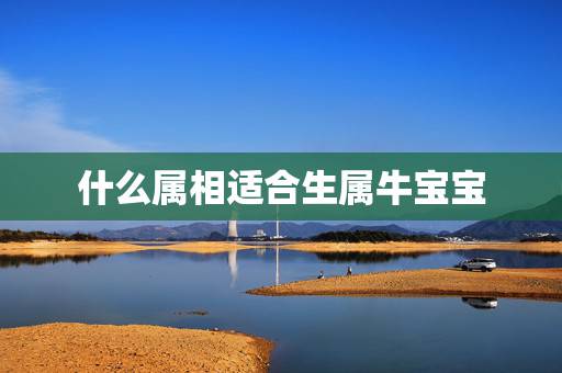 什么属相适合生属牛宝宝,属牛和属马的人生什么属相的孩子好 什么属相适合生属牛宝宝,属牛和属马的人生什么属相的孩子好