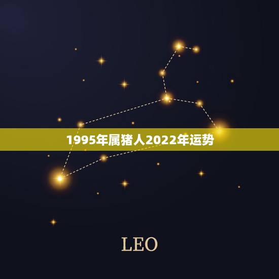 1995年属猪人2022年运势 属猪人2022年每月运势