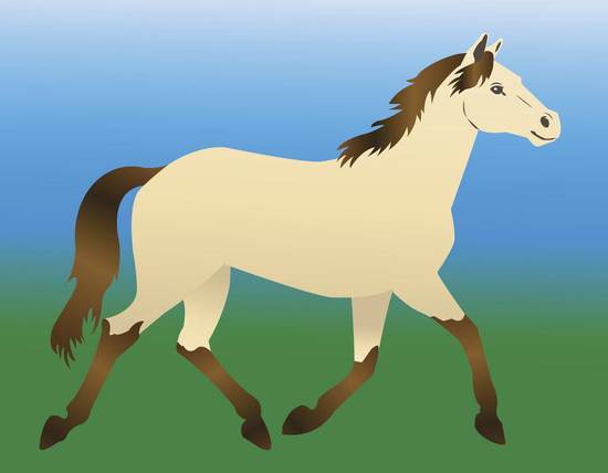 马男和女猴相配婚姻如何(解析星座配对是否适合)