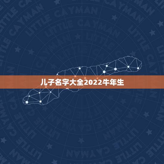 儿子名字大全2022牛年生，2022 年属牛男宝宝取名字大全