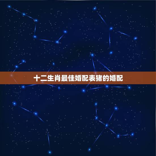 十二生肖最佳婚配表猪的婚配,属猪的属相婚配表 十二生肖最佳婚配表猪的婚配,属猪的属相婚配表