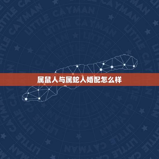 属鼠人与属蛇人婚配怎么样，属鼠的人和属蛇的相配吗？