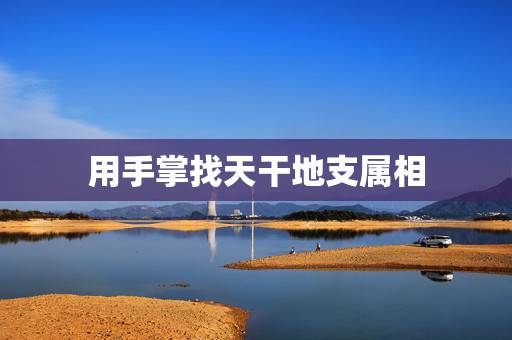 用手掌找天干地支属相，十二生肖对应的天干地支是什么
