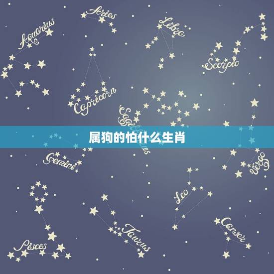 属狗的怕什么生肖,属狗与什么属相相克 属狗的怕什么生肖,属狗与什么属相相克