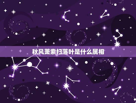 秋风萧索扫落叶是什么属相,秋风萧索扫落叶猜一生肖 秋风萧索扫落叶是什么属相,秋风萧索扫落叶猜一生肖