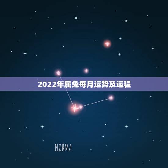 2022年属兔每月运势及运程,87年属兔的2021年运势每月运势 2022年属兔每月运势及运程,87年属兔的2021年运势每月运势