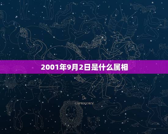 2001年9月2日是什么属相,2001年属蛇人什么命 2001年9月2日是什么属相,2001年属蛇人什么命