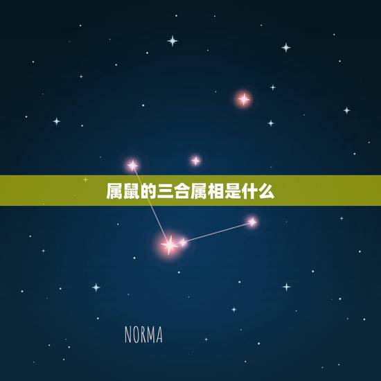 属鼠的三合属相是什么,老鼠的六三合是什么生肖 属鼠的三合属相是什么,老鼠的六三合是什么生肖