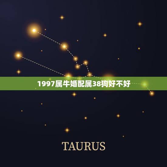 1997属牛婚配属38狗好不好,1997属牛男和什么属相婚配合适 1997属牛婚配属38狗好不好,1997属牛男和什么属相婚配合适