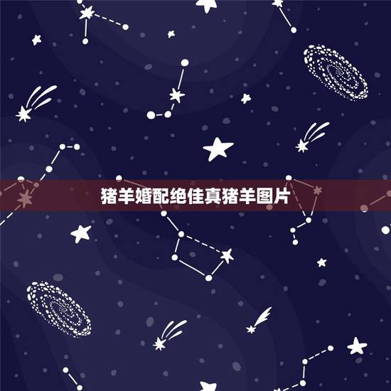 猪羊婚配绝佳真猪羊图片，羊年出生人与猪年出生的婚配怎么样
