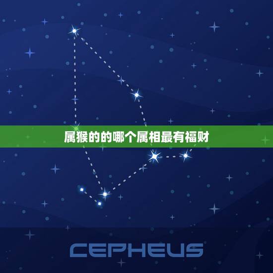 属猴的的哪个属相最有福财,属猴的最怕哪个属相 属猴的的哪个属相最有福财,属猴的最怕哪个属相