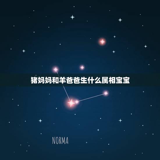 猪妈妈和羊爸爸生什么属相宝宝,属猪和羊生个什么属相的宝宝 猪妈妈和羊爸爸生什么属相宝宝,属猪和羊生个什么属相的宝宝