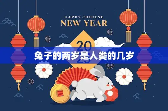 兔子的两岁是人类的几岁(解密兔子的年龄计算方法) 兔子的两岁是人类的几岁(解密兔子的年龄计算方法)