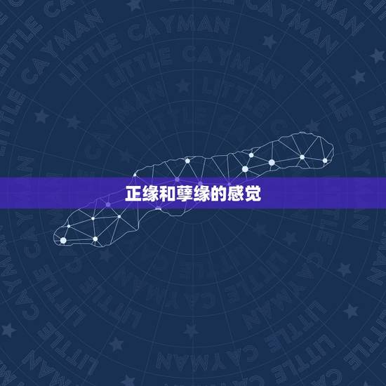 正缘和孽缘的感觉,遇见正缘前会经历啥 正缘和孽缘的感觉,遇见正缘前会经历啥