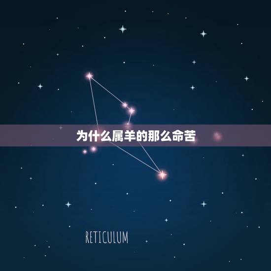 为什么属羊的那么命苦，属羊的人名人为什么历害