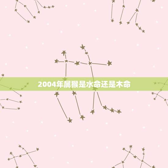 2004年属猴是水命还是木命,2004年属猴买什么戴运气好 2004年属猴是水命还是木命,2004年属猴买什么戴运气好