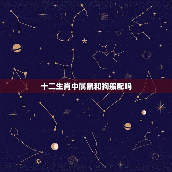 十二生肖中属鼠和狗般配吗,属狗的跟属鼠的合不合 十二生肖中属鼠和狗般配吗,属狗的跟属鼠的合不合