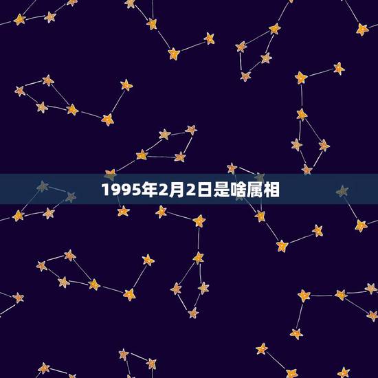 1995年2月2日是啥属相,1992年2月2日出生的人是什么属相 1995年2月2日是啥属相,1992年2月2日出生的人是什么属相