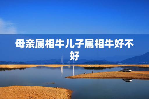 母亲属相牛儿子属相牛好不好，母亲属牛生个什么属相孩子好