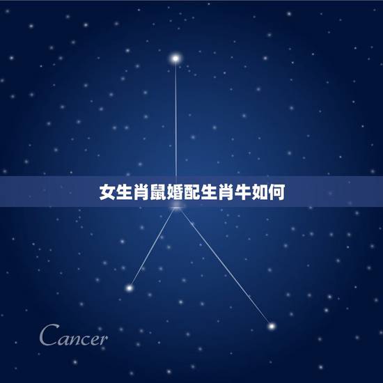 女生肖鼠婚配生肖牛如何,男属牛女属鼠婚配好吗 女生肖鼠婚配生肖牛如何,男属牛女属鼠婚配好吗
