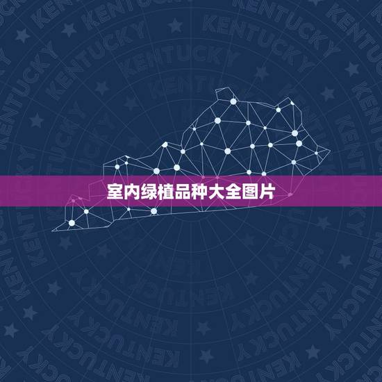 室内绿植品种大全图片，室内观赏植物有哪些 室内观赏植物图片大全