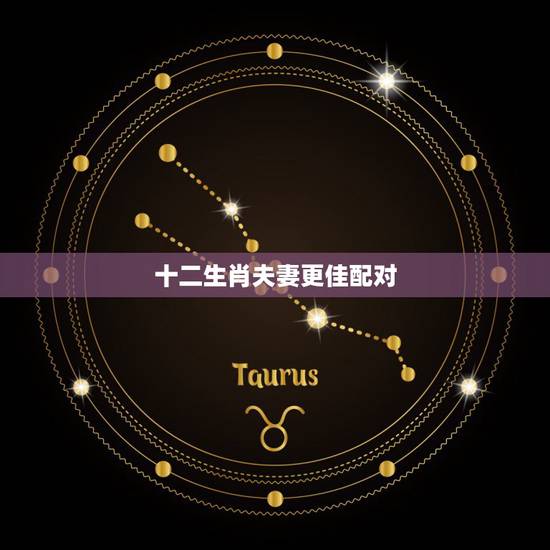 十二生肖夫妻更佳配对,最有夫妻缘分的生肖配对 十二生肖夫妻更佳配对,最有夫妻缘分的生肖配对