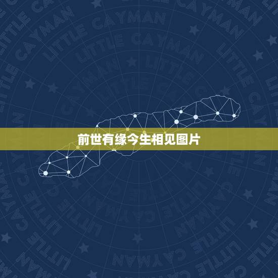 前世有缘今生相见图片，天生带，有随身保镖，这个随身保镖是指什么，前世