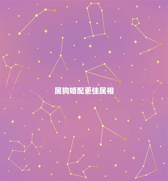 属狗婚配更佳属相，属狗的婚配属相更好