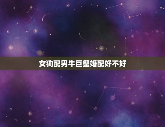 女狗配男牛巨蟹婚配好不好,1994年男性属狗与1997年女性属牛婚配好 女狗配男牛巨蟹婚配好不好,1994年男性属狗与1997年女性属牛婚配好