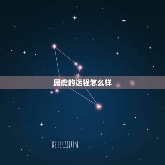 属虎的运程怎么样，属虎未时出生一生命运怎样