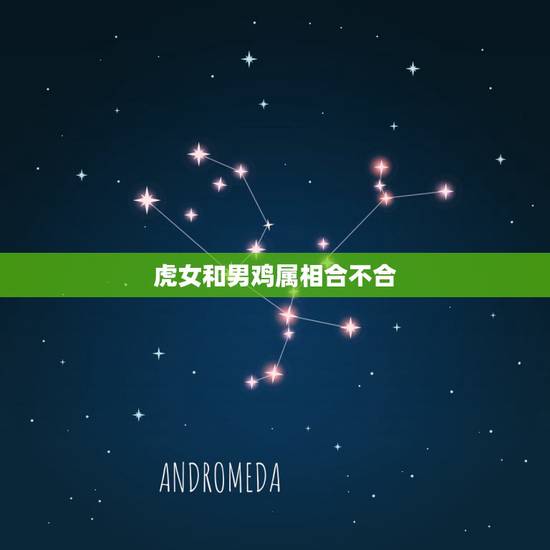 虎女和男鸡属相合不合,属虎男生和属鸡的女生相配吗? 虎女和男鸡属相合不合,属虎男生和属鸡的女生相配吗?