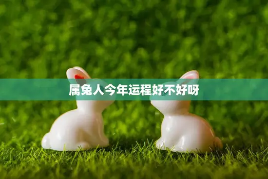 属兔人今年运程好不好呀(2023年属兔人运势大揭秘) 属兔人今年运程好不好呀(2023年属兔人运势大揭秘)