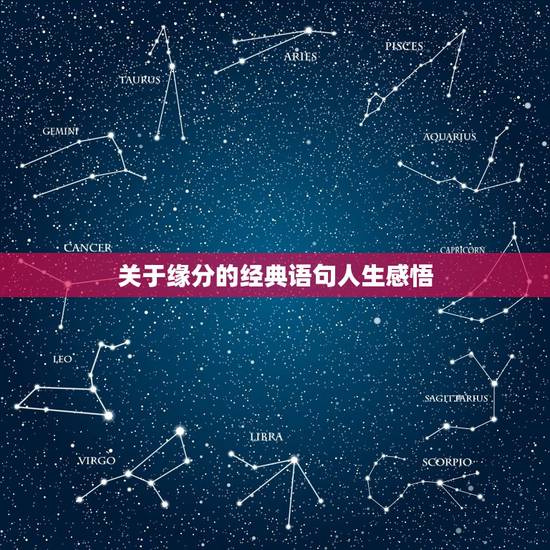 关于缘分的经典语句人生感悟,佛说经典语录人生哲理 关于缘分的经典语句人生感悟,佛说经典语录人生哲理