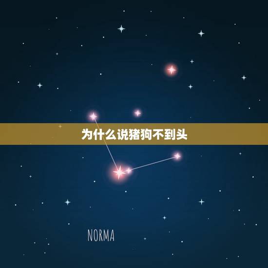 为什么说猪狗不到头，猪狗不到头什么意思