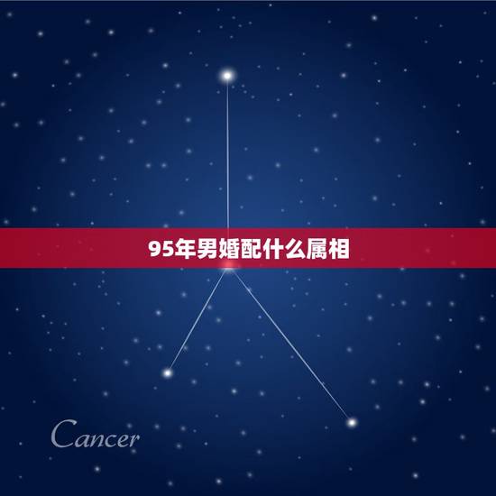 95年男婚配什么属相，95年属猪男的和什么属相最配