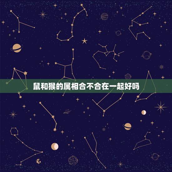 鼠和猴的属相合不合在一起好吗,属龙的和属鼠在一起财运如何 鼠和猴的属相合不合在一起好吗,属龙的和属鼠在一起财运如何